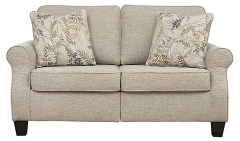 Sofa & Loveseat 8240438/34-ASH