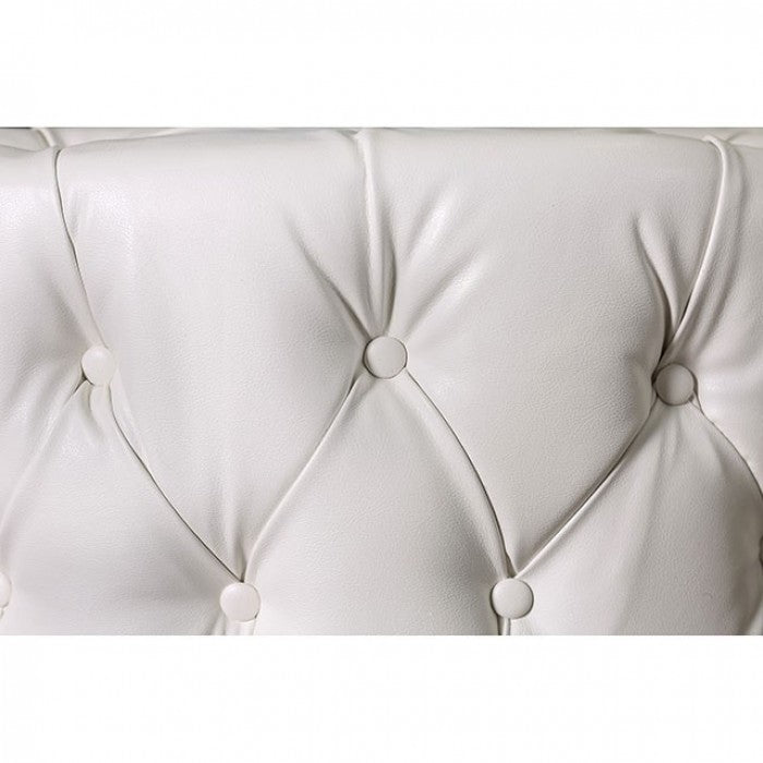Latoya 6289WH-FOA