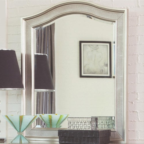 CST MIRROR 204188-COA 204188