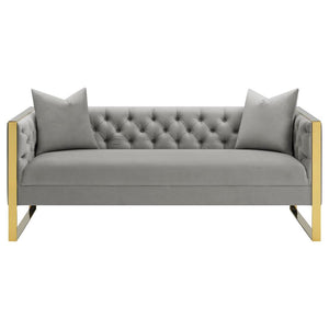 SOFA /509111-COA