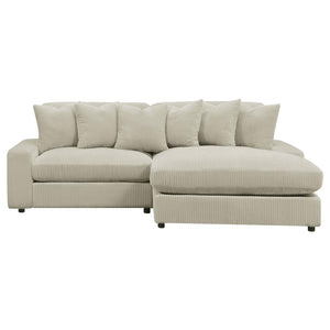 SECTIONAL 509899-COA