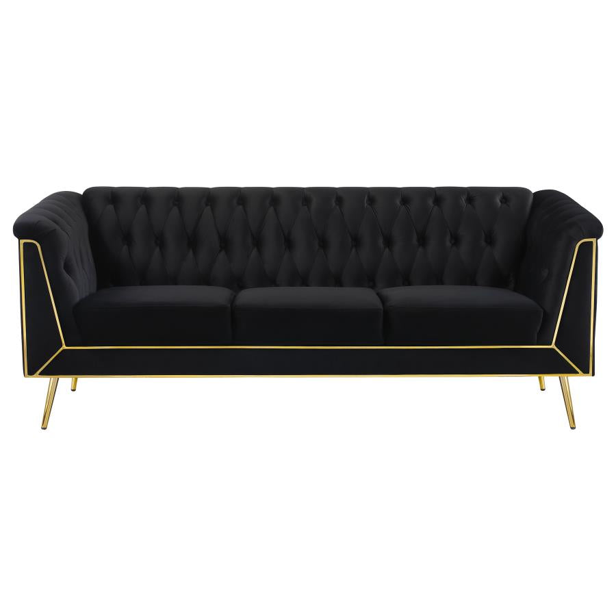 SOFA /508441-COA