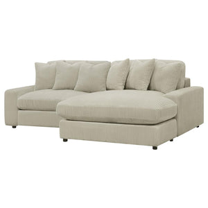 SECTIONAL 509899-COA