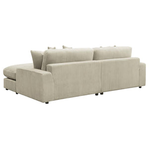 SECTIONAL 509899-COA