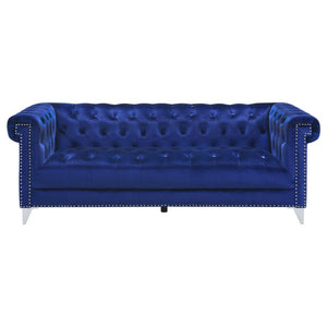 SOFA /509481-COA