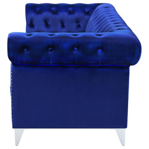 SOFA /509481-COA