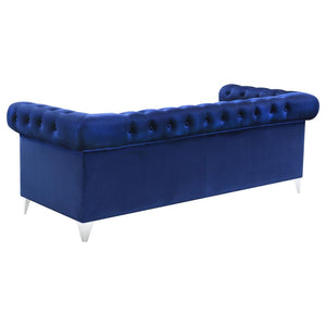 SOFA /509481-COA