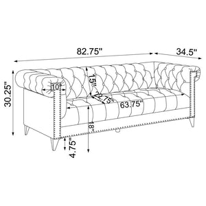 SOFA /509481-COA