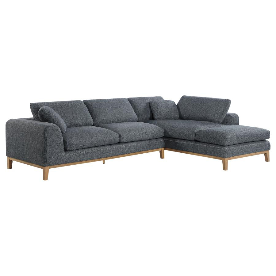 SECTIONAL 508857-COA