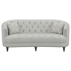 SOFA /505641-COA