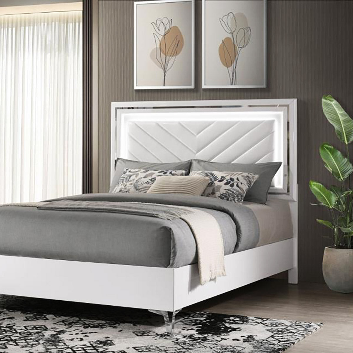 Queen Beds 2