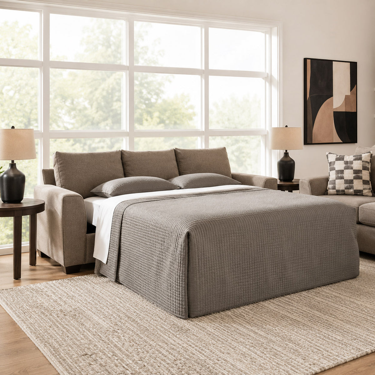 Sofa Bed 1
