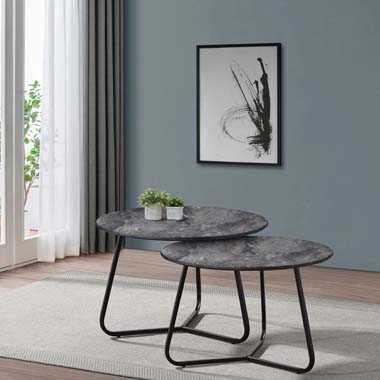 2 PCS COFFEE TABLE 723538-COA