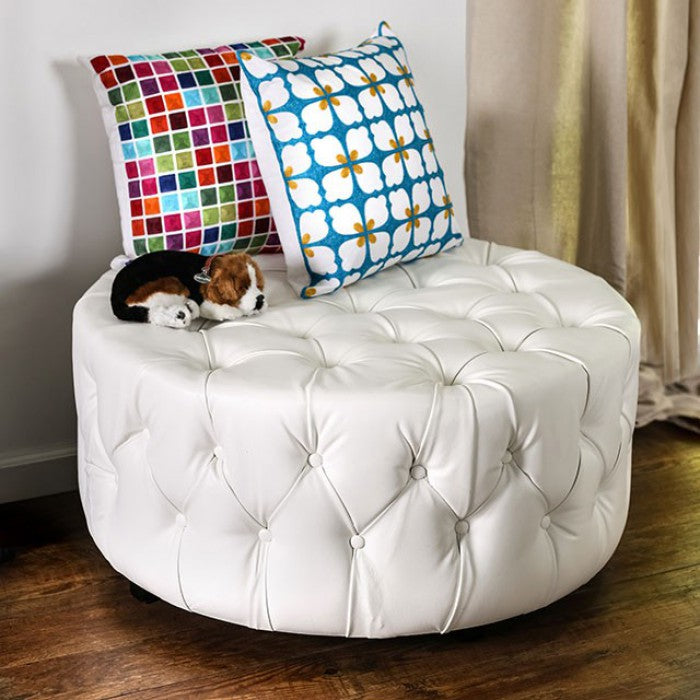 Latoya 6289WH-FOA