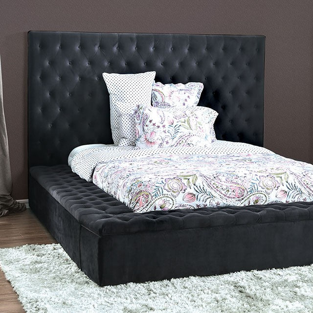 DAVIDA QUEEN BED FRAME 7897DG-FOA