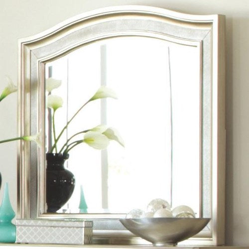 MIRROR 204184-COA