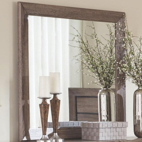 Kauffman Mirror 204194-COA